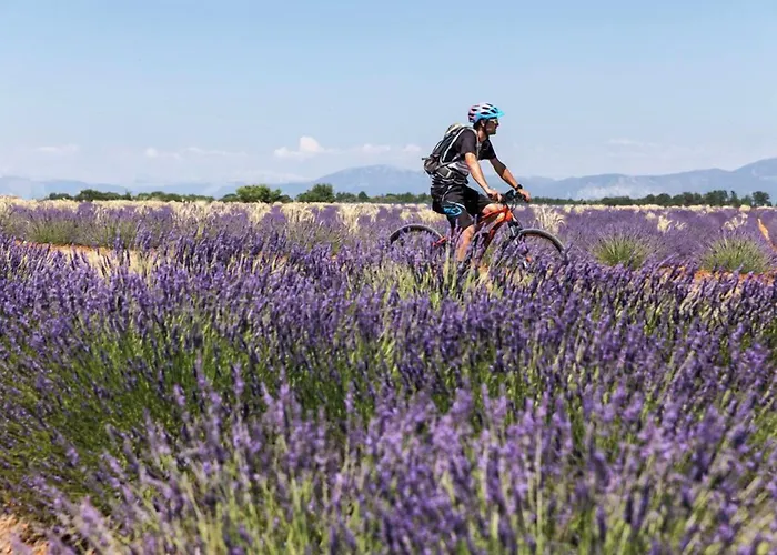 Ibis Budget Cadarache Hotel 2*