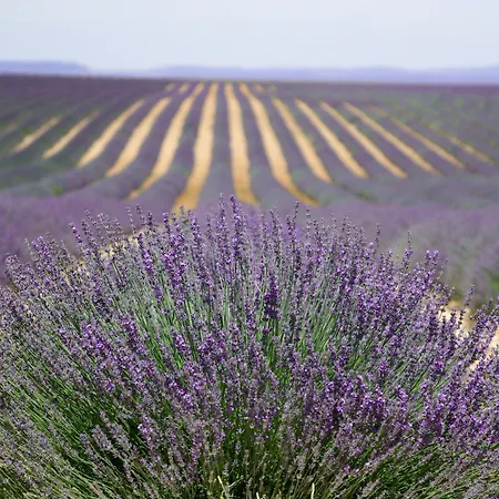 Ibis Budget Cadarache Отель 2*