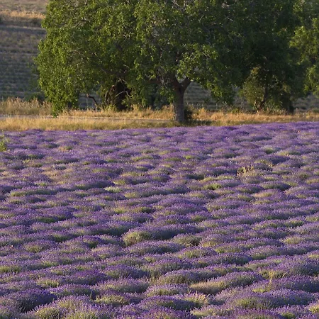 Ibis Budget Cadarache Отель