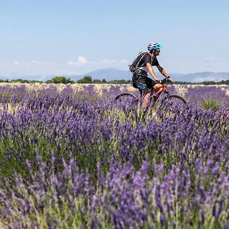 Ibis Budget Cadarache Отель 2*