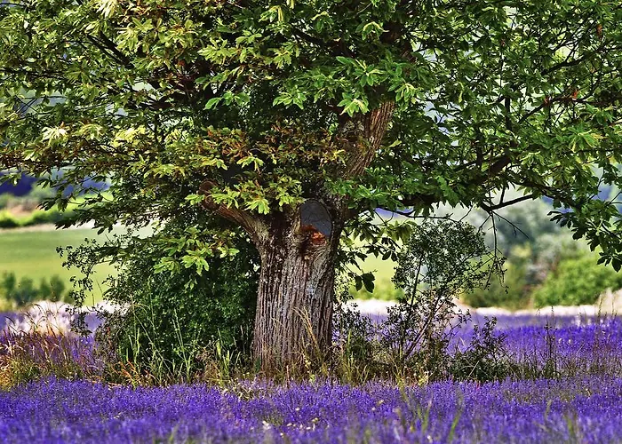 Ibis Budget Cadarache Отель 2*