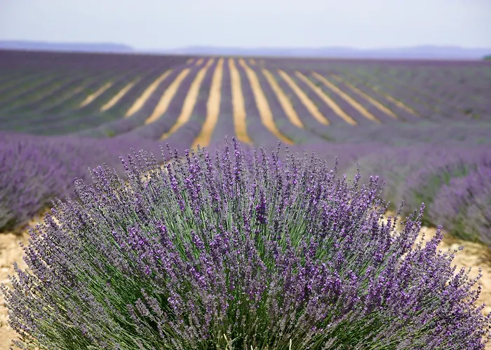 Ibis Budget Cadarache 酒店 2*